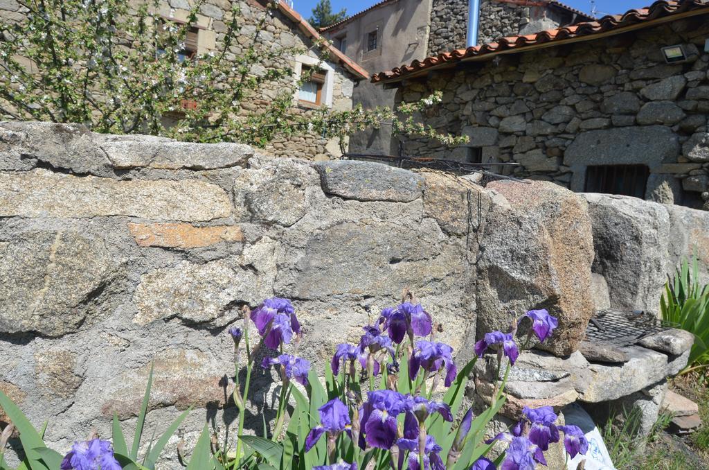 Casa Rural Almanzor นาวาร์เรดอนดา เด เกรโดส ภายนอก รูปภาพ